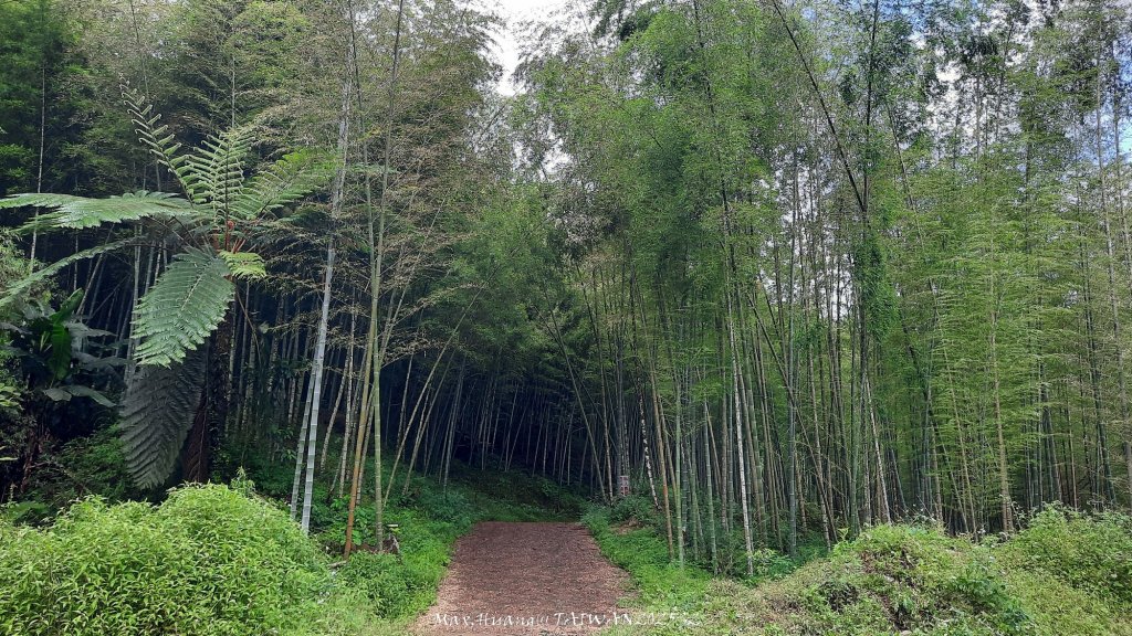 《雲林》望好望角｜石壁山嘉南雲峰步道(中側登山口）20250607_2805316