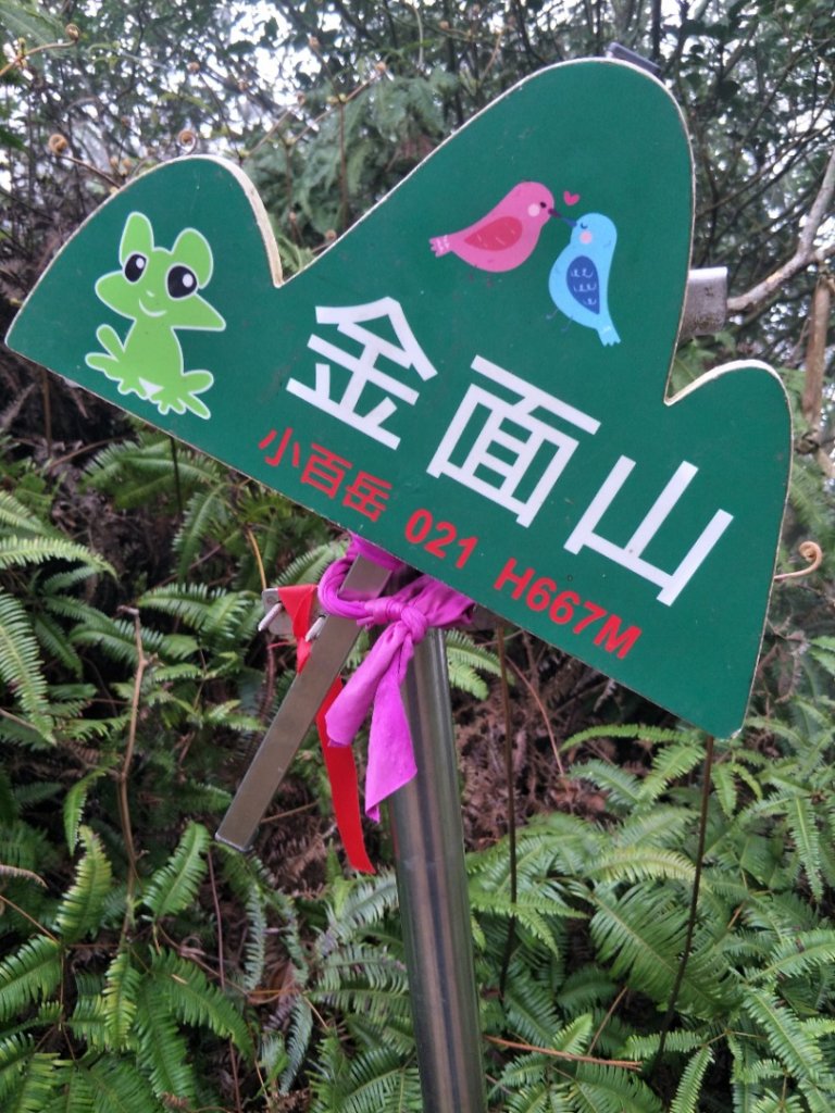 小百岳:金面山_1619344