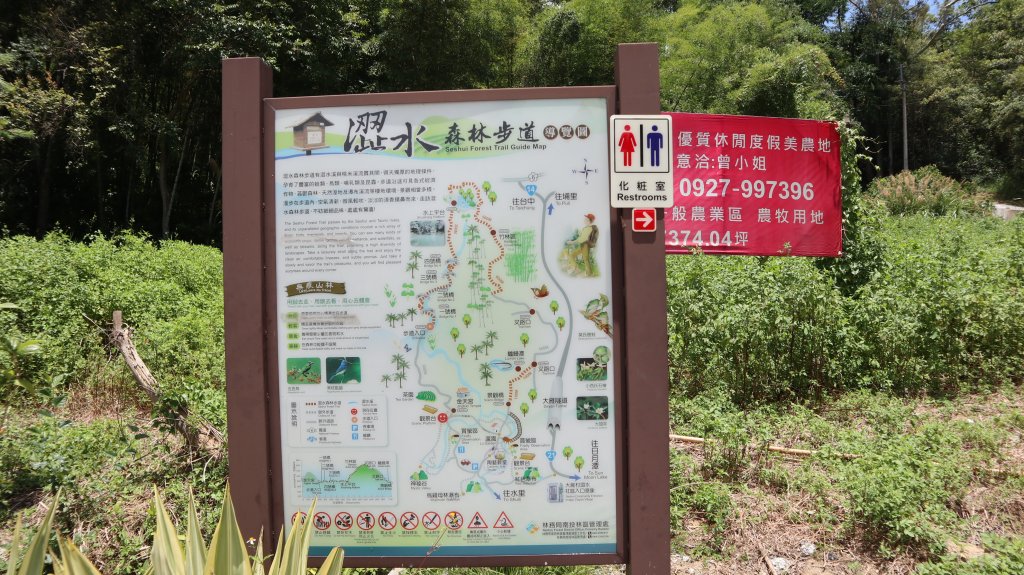 澀水森林步道登山健行趣(步道)_2259788