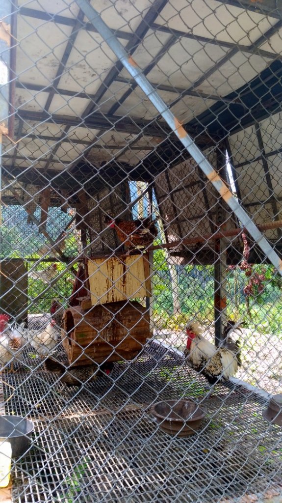 文學步道_1500348