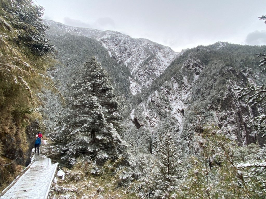 塔塔加-排雲山莊。驚喜滿分的糖霜雪景封面圖