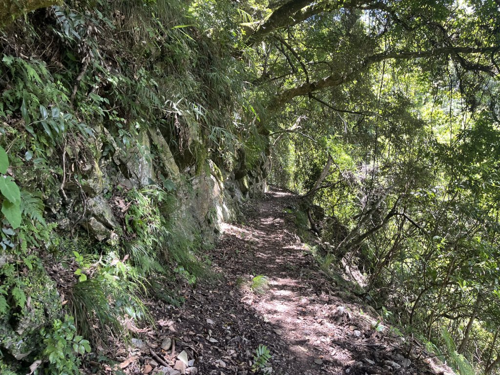 [玉山尋寶任務-03/12] 2025_0810 瓦拉米步道_2857796