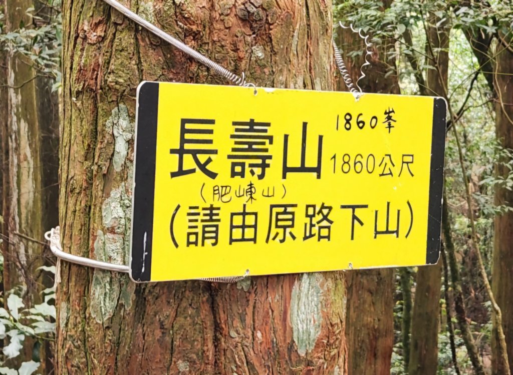 【中級山縱走】最美中級山，鳶嘴西稜縱走（鳶嘴山，醜崠山，長壽山）_2741405