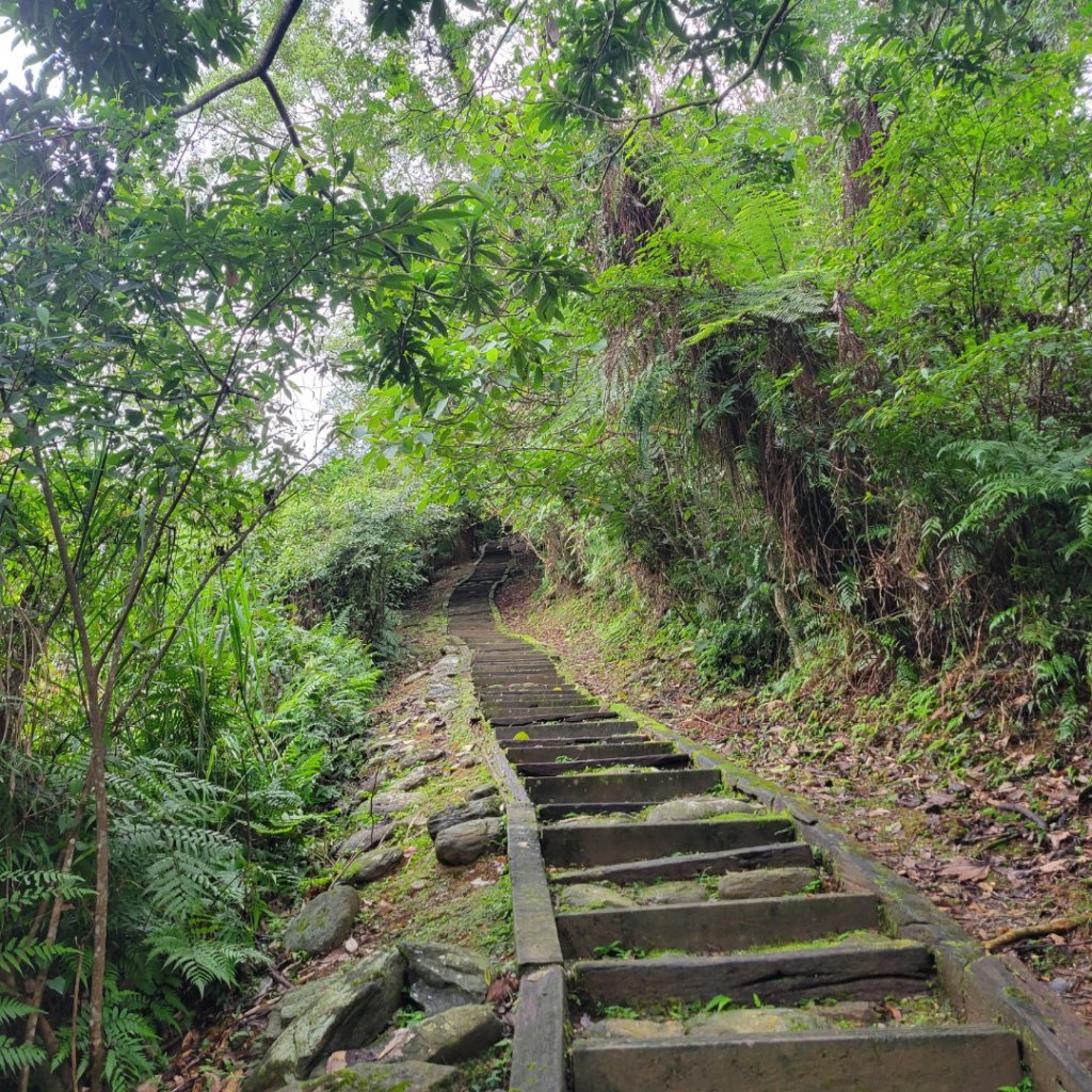 花蓮鯉魚山(小百岳)_2003453