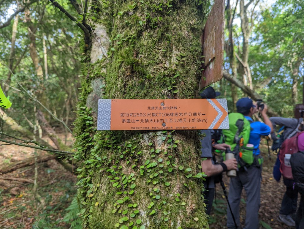 《北插天山》零星的山毛櫸、有點難攀的中級山_1917236