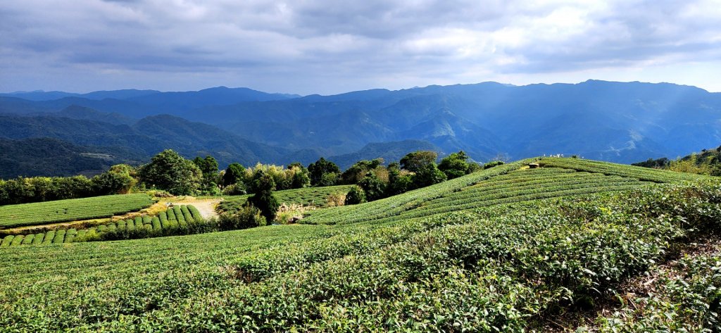 皇帝殿，坪林獅公髻尾山，文山指南宮千階步道（竹柏參道），十六分山，貓空尖，絹絲瀑布步道_1971326