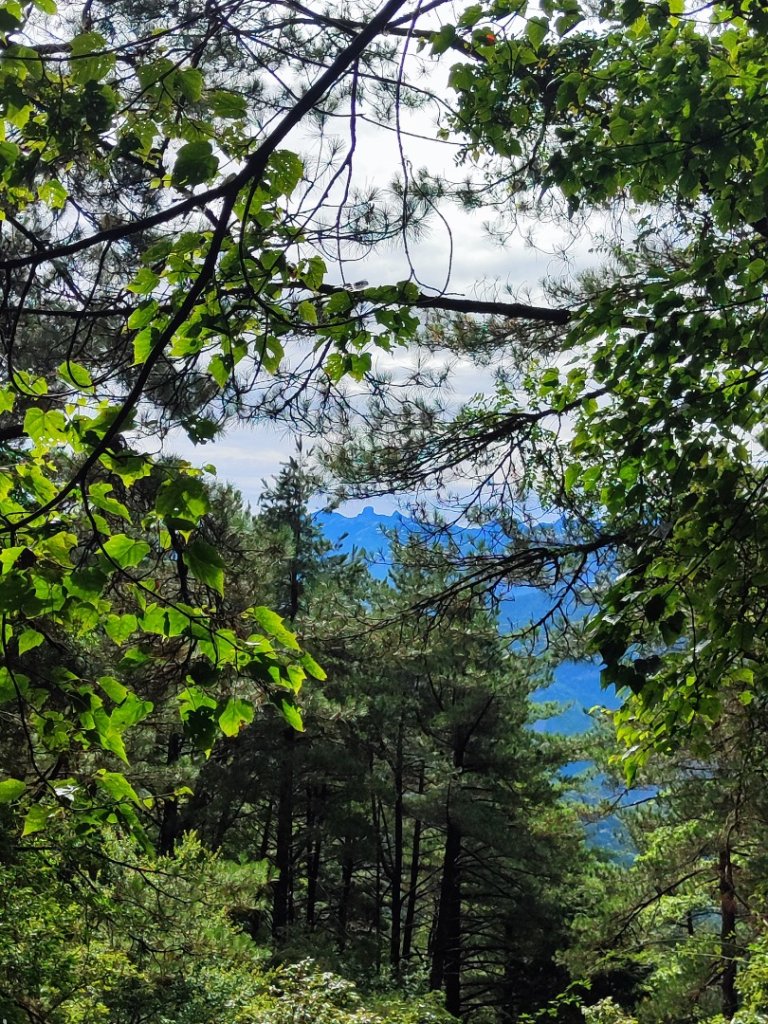 樂雪縱走_2876760