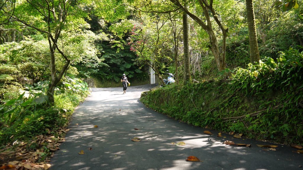 猴山岳縱走二格山登山健行趣(小百岳17號)_1539281