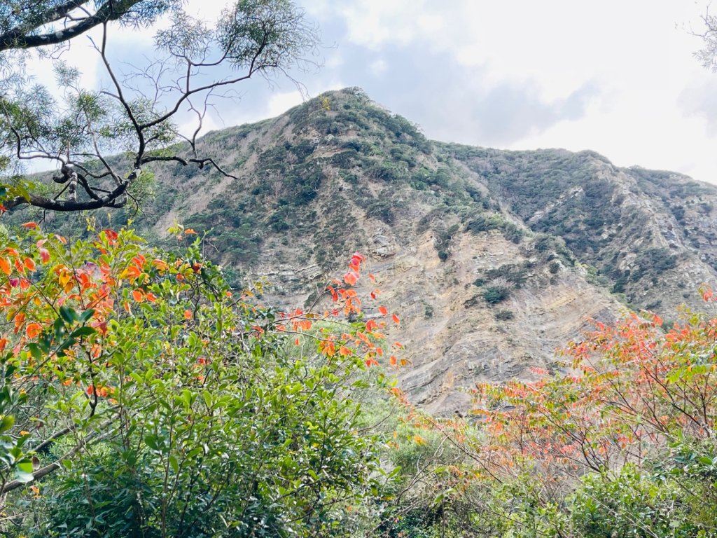 1150123里龍山_2986738