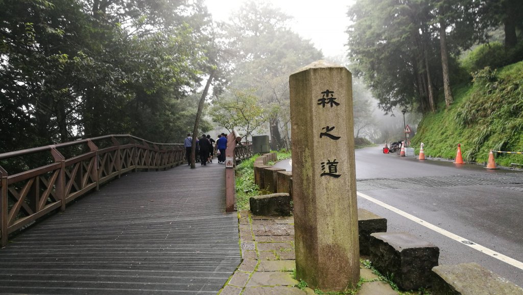 阿里山塔山步道之行_426139