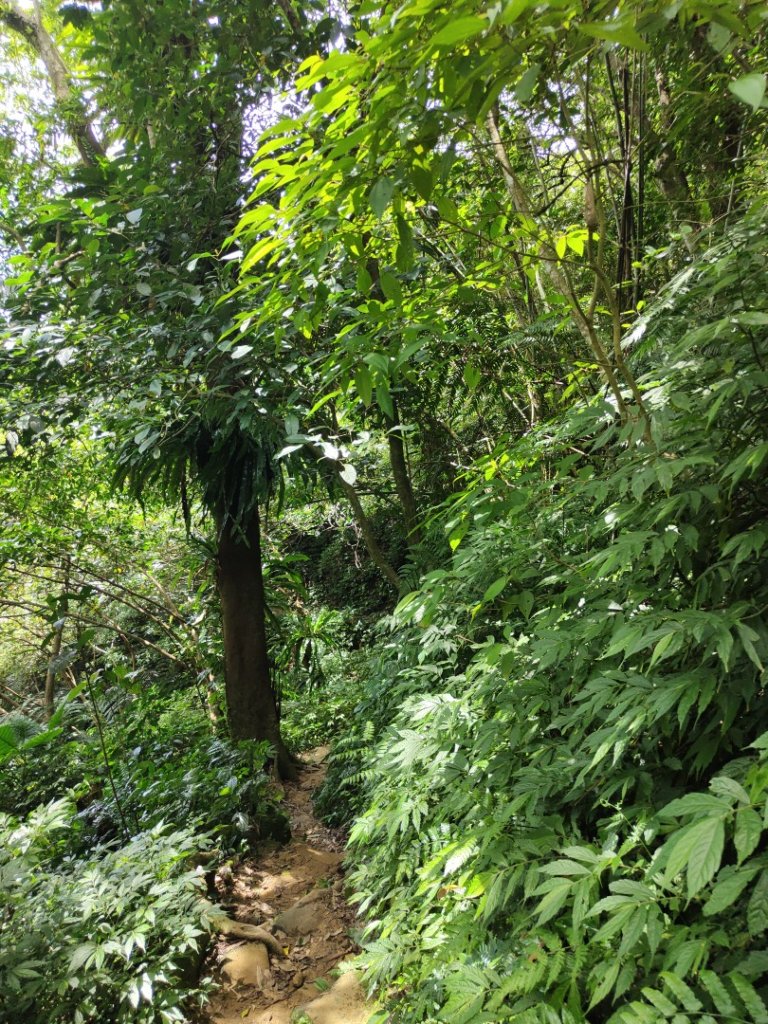 2023.08.26 草湳登二格山_2468979