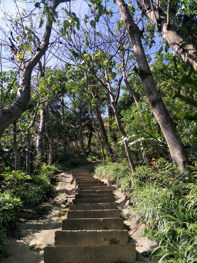 2020 03 16 樹林大棟山_881457