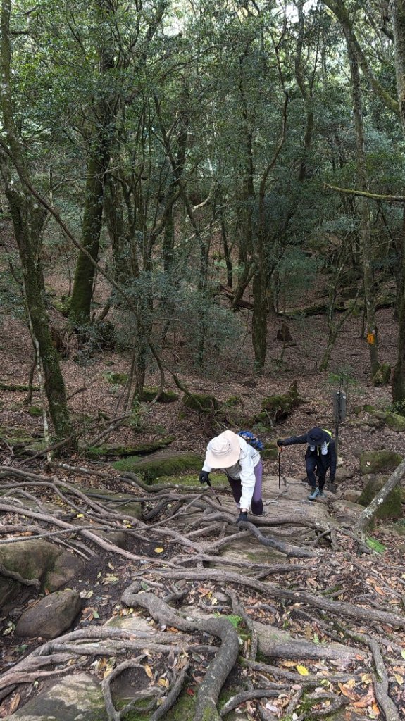 加里山 2025 12/28_2971697