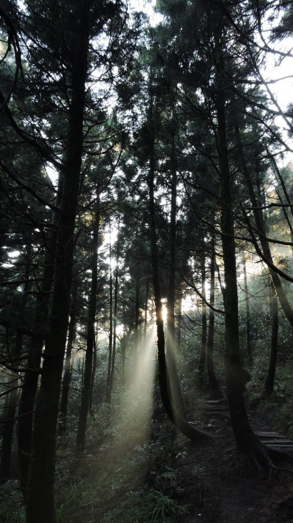 台北後花園下雪了 ！_1235631