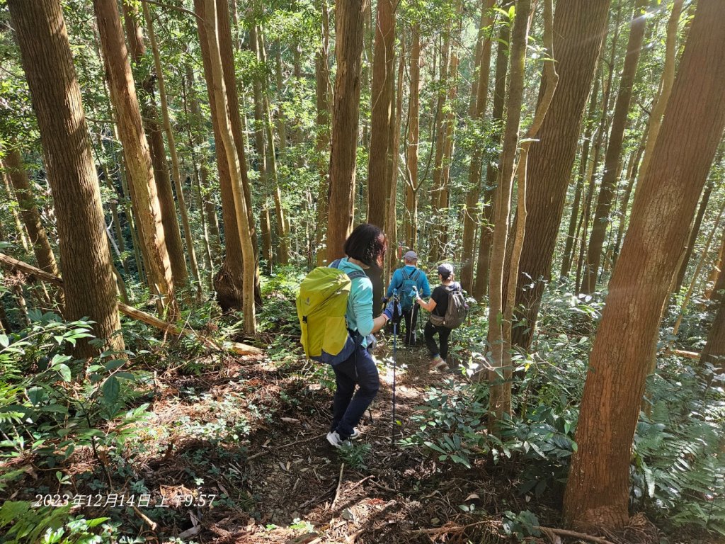 新竹尖石蓮包山+鴛鴦谷鰻潭瀑布O型走_2379080