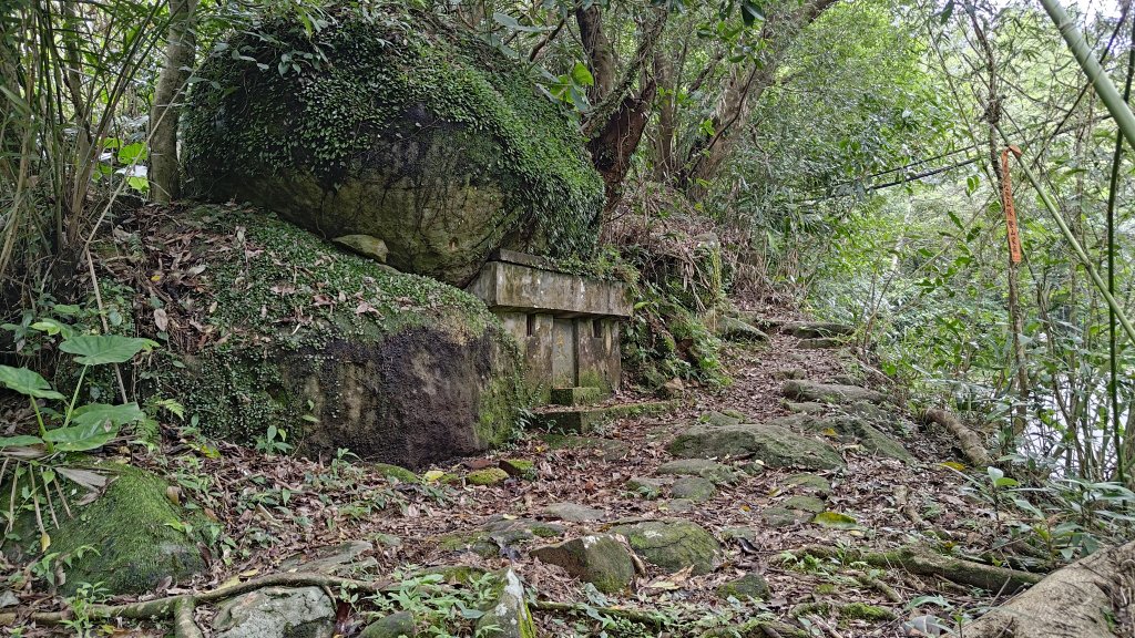 楊廷理古道_2814640