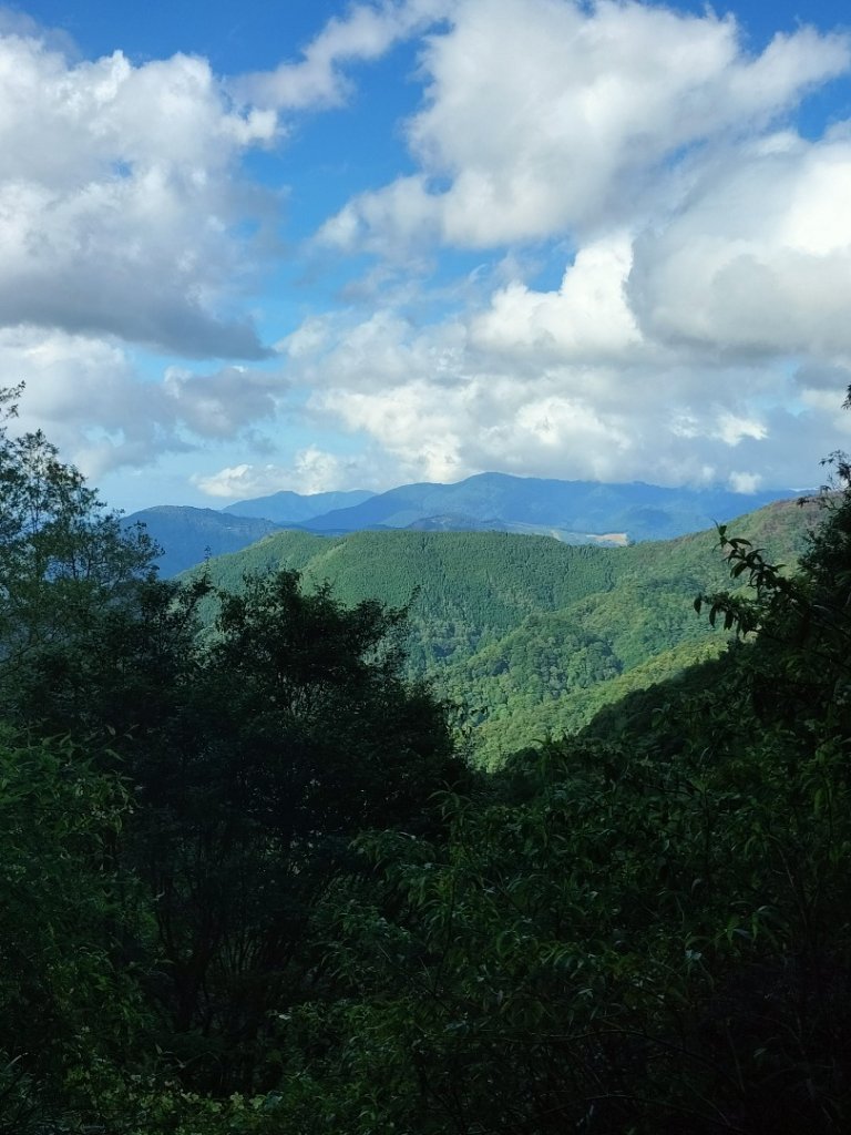 檜山巨木群步道_2250320