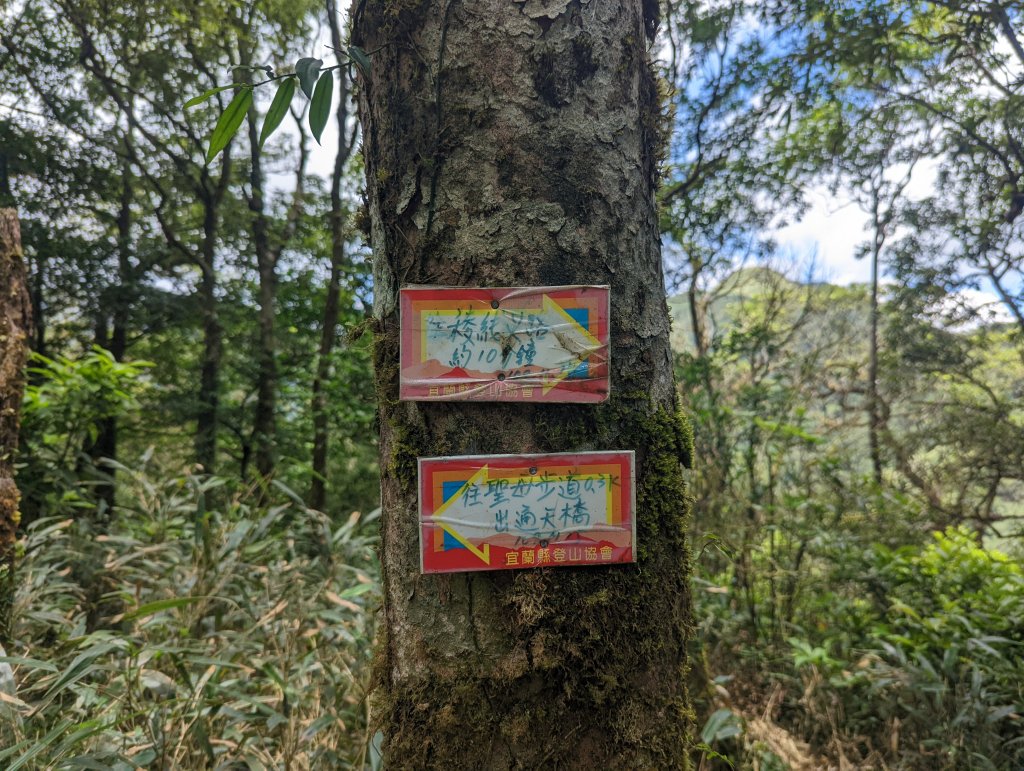 聖母登山步道（抹茶山）。三角崙山(小百岳)。巴唐古道_1800614