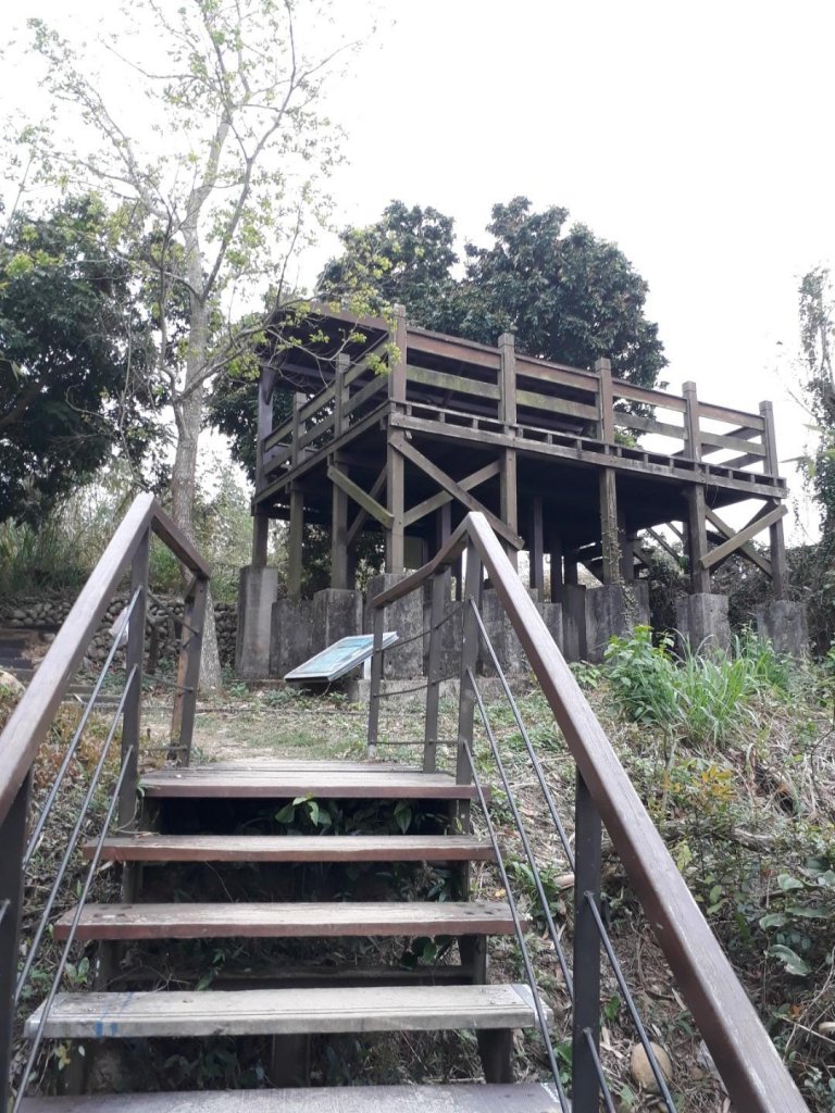 雲林林內龍過脈森林步道20190323_550570