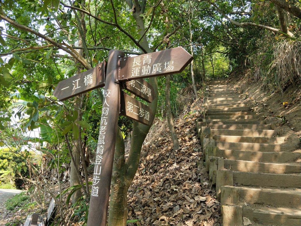 三汀山封面圖