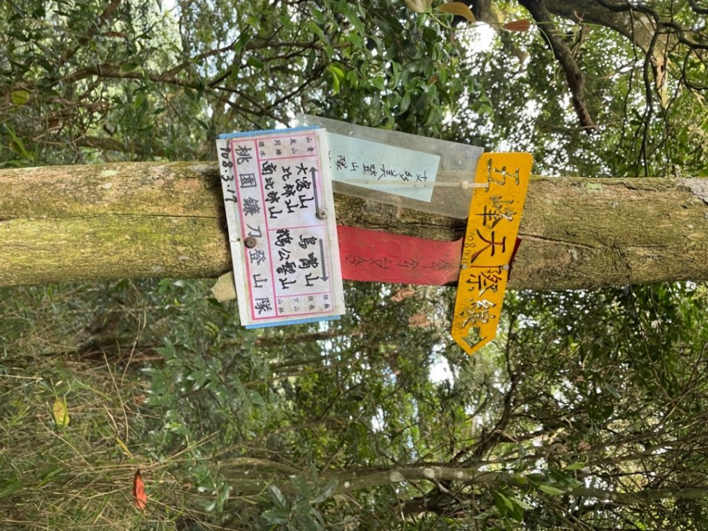 鳥嘴山、大窩山、比林山（比大鳥）_1458580