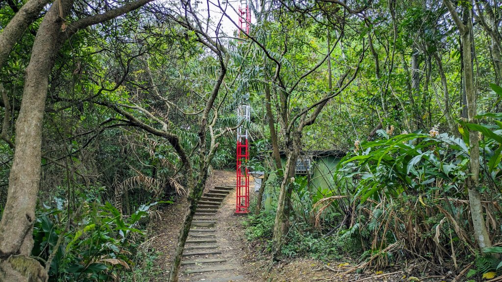 和美山,小獅山_2472057