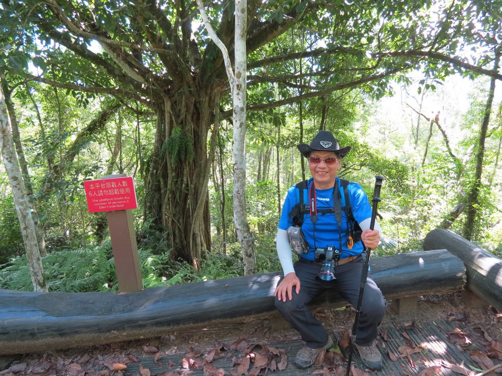 拳頭姆自然步道輕鬆行_792635