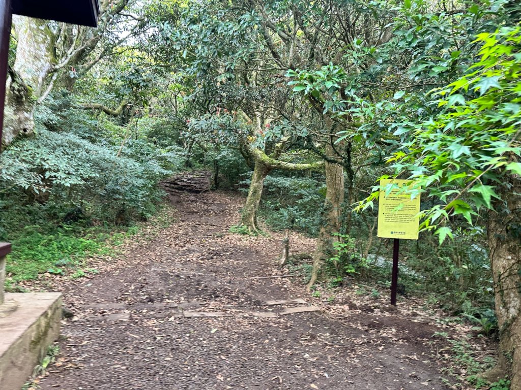 001大屯山_2598591