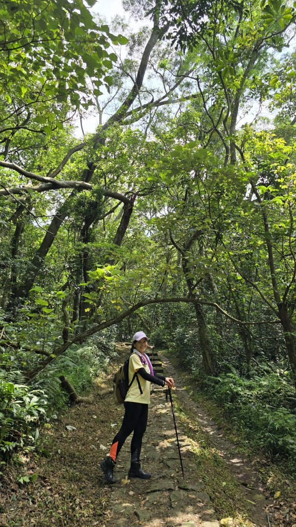 陽明山優質經典步道，興福寮古道，雲霧繚繞的向天池_2815626