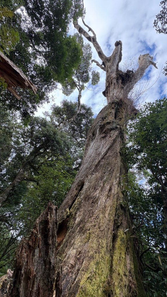 再也不爬囉（告別2025_2973150