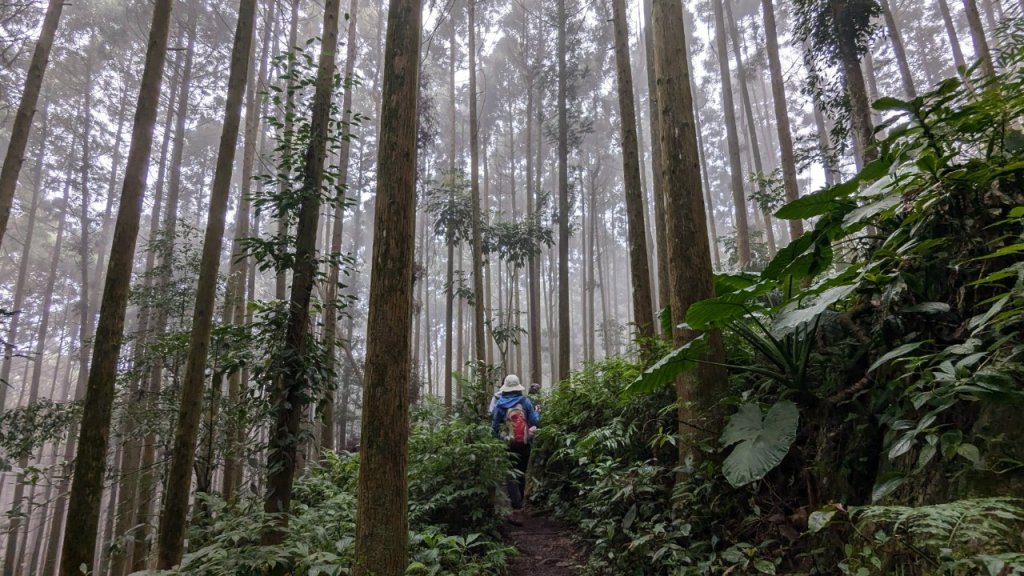 向天湖山步道 (大 O：含三角湖山、光天高山)_2664975