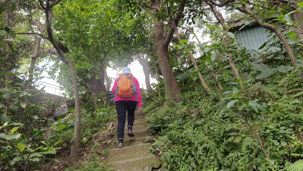 (姨婆趴趴走)第五十集:新北樹林大同山、青龍嶺、大棟山諸峰連走_2751532