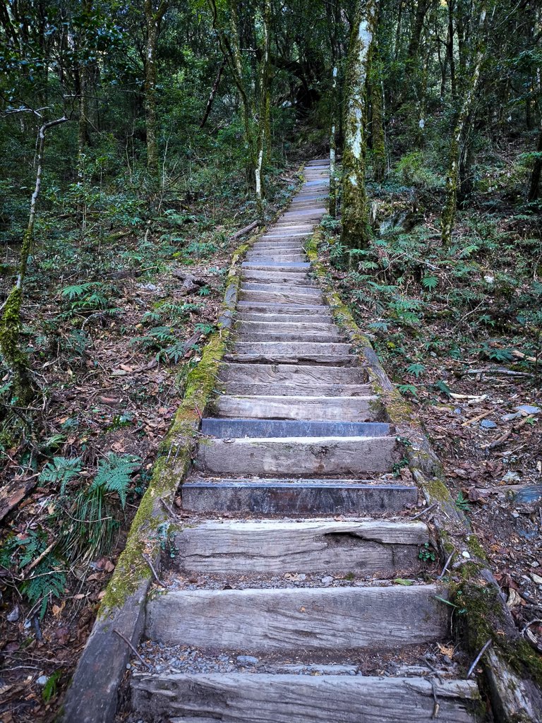 2026-02-09 庫哈諾辛山_2998835