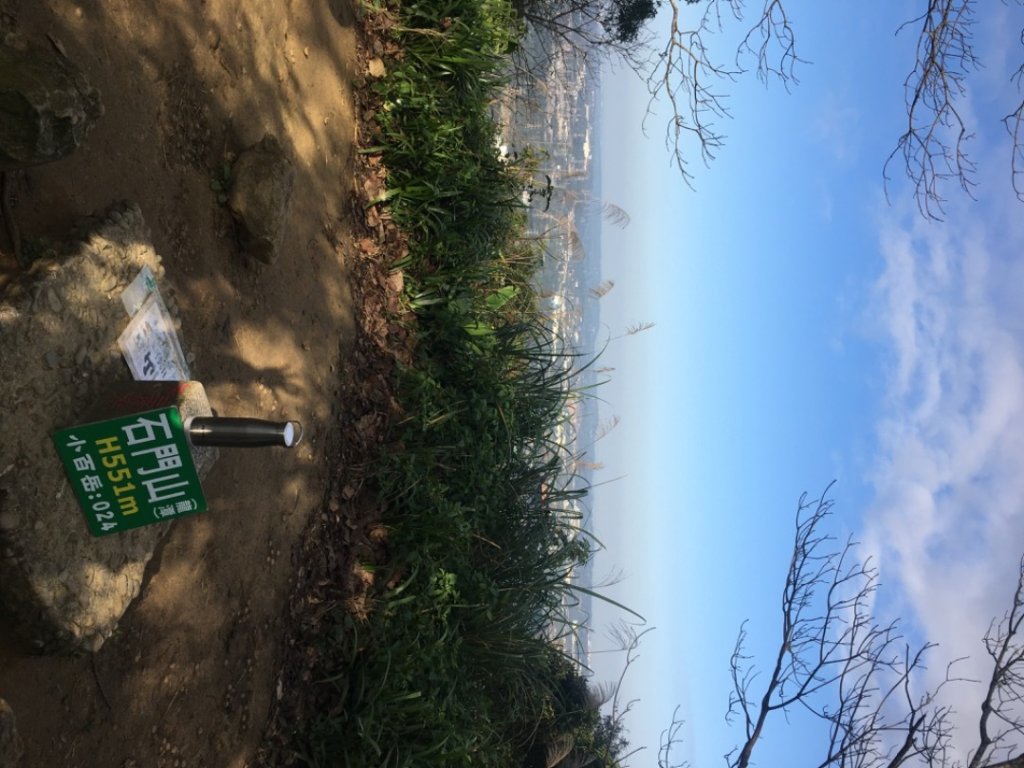 梅花撲鼻香_2686635