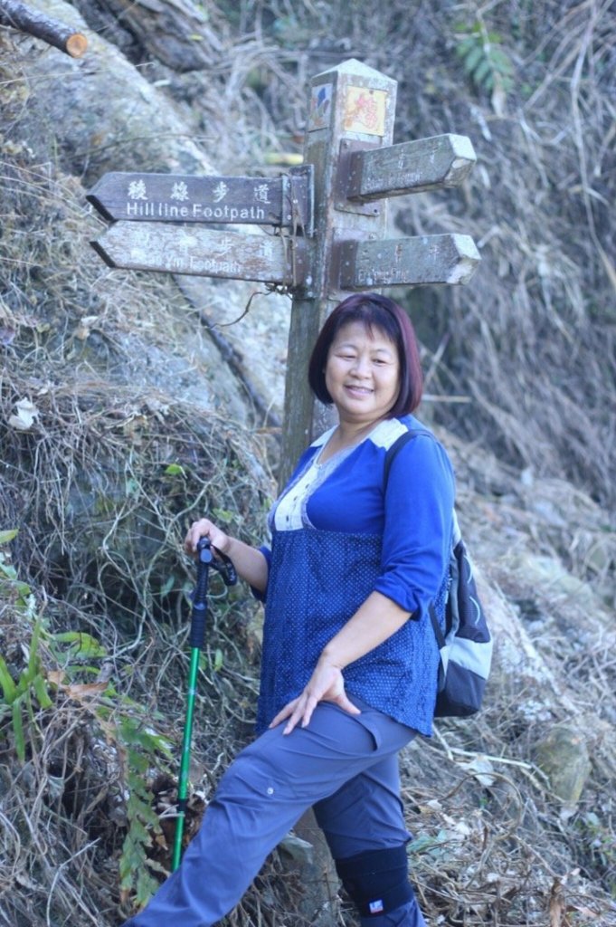 竹子尖山到獵鷹山_473264