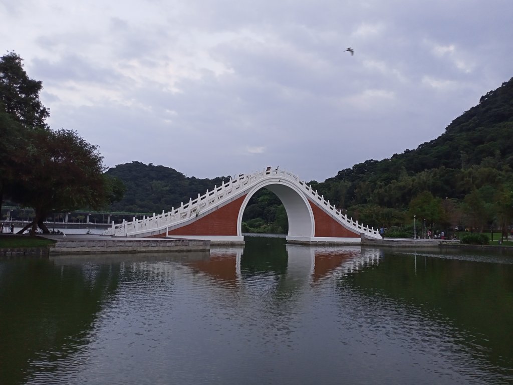 動靜皆宜的大湖公園【走路趣尋寶】封面圖