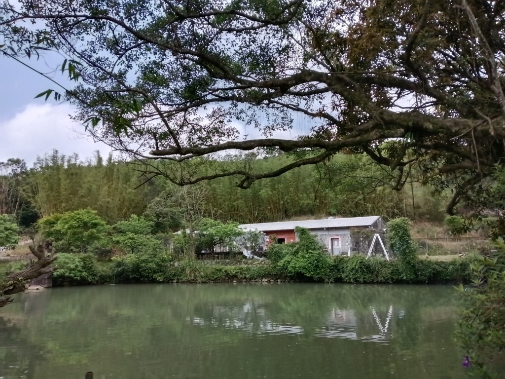 雙溪區三叉港+遠景古道+楊廷理古道+雞母嶺街O型_2758613