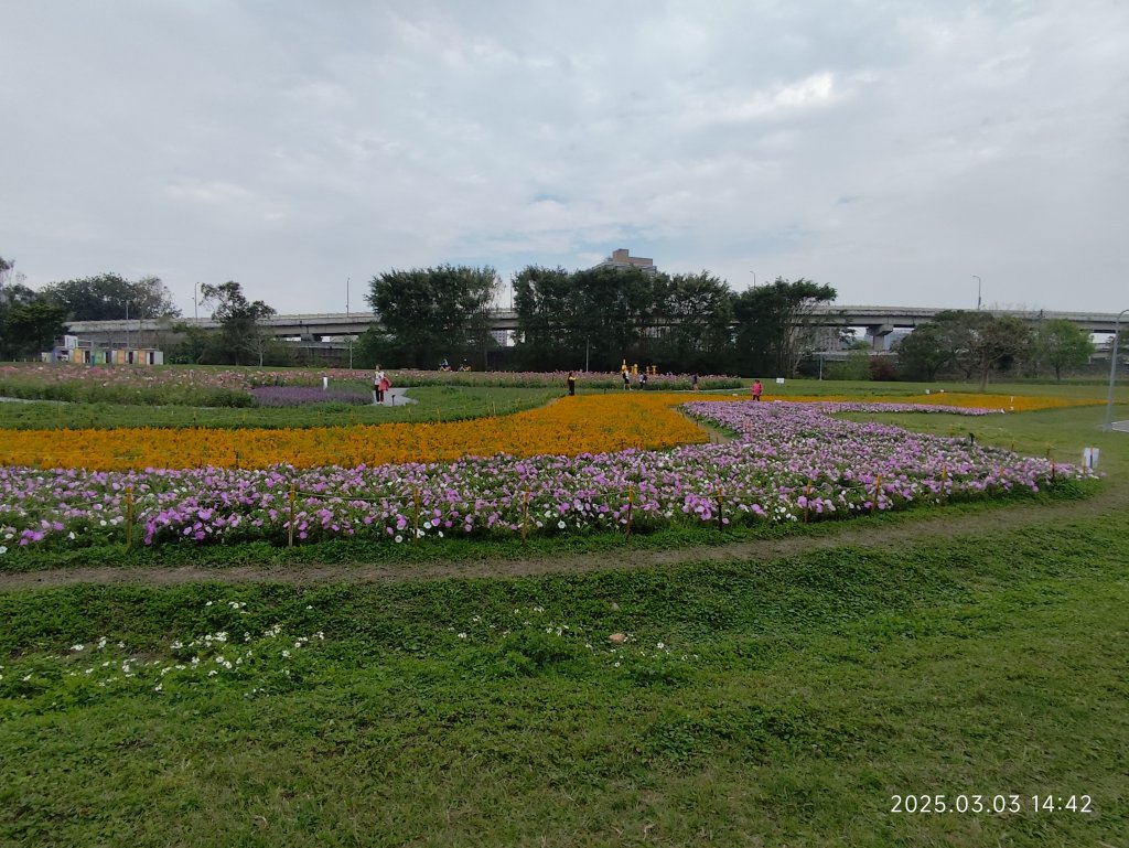 【臺北大縱走 8】捷運動物園站→捷運關渡站［河濱自行車道］_2727187