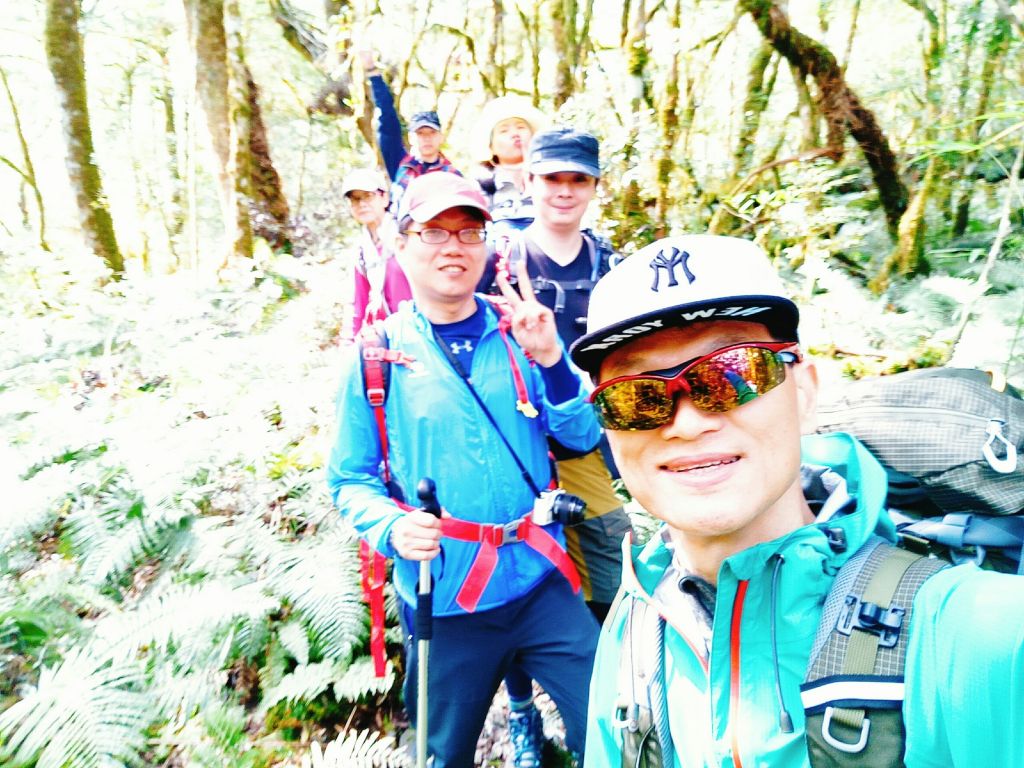 米羅山之木_292890