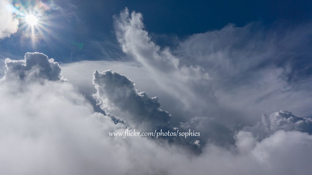 20180703合歡東峰_376229