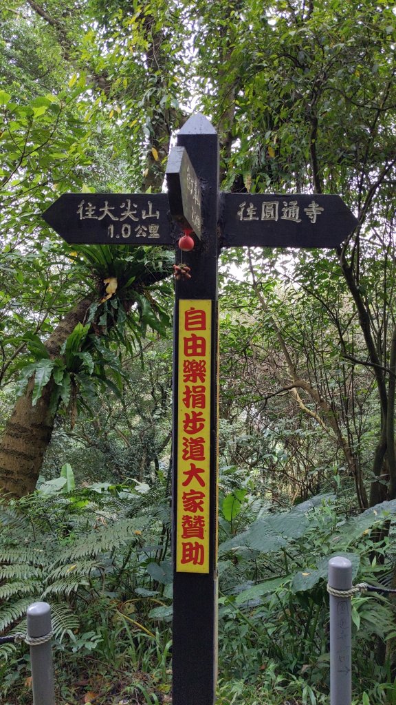 20230124_年初二_新店文筆山_土城清水大尖山_新加坡嶺_青龍嶺_2011168