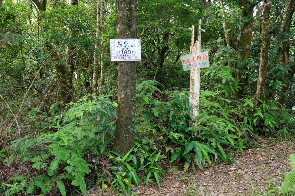 新北 烏來 烏來山、大桶山、四崁水山_2829246