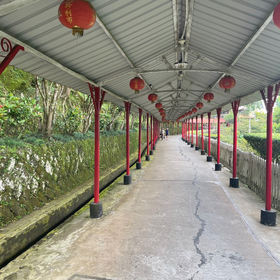 20240825 臺北大縱走第七段：世界山莊至飛龍步道政大後山_2583363