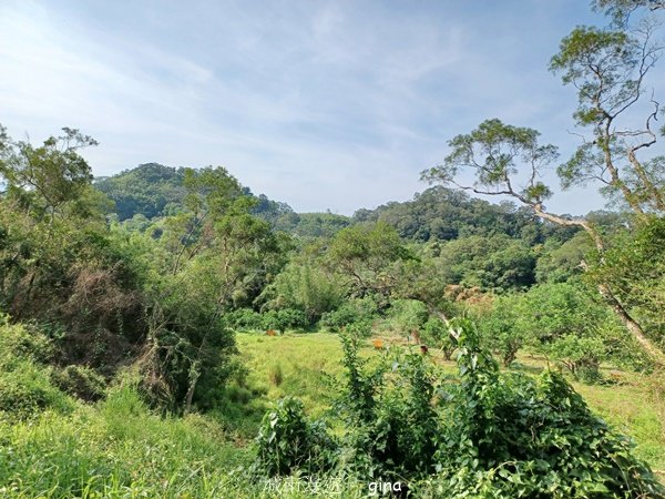 【苗栗造橋】適合親子悠閒踏青。劍潭古道_2533438
