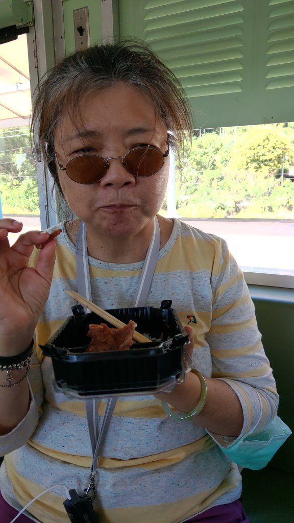 2023探尋全台最美海岸觀光火車路線藍皮解憂號悠悠緩緩漫遊鐵道之旅_2109263