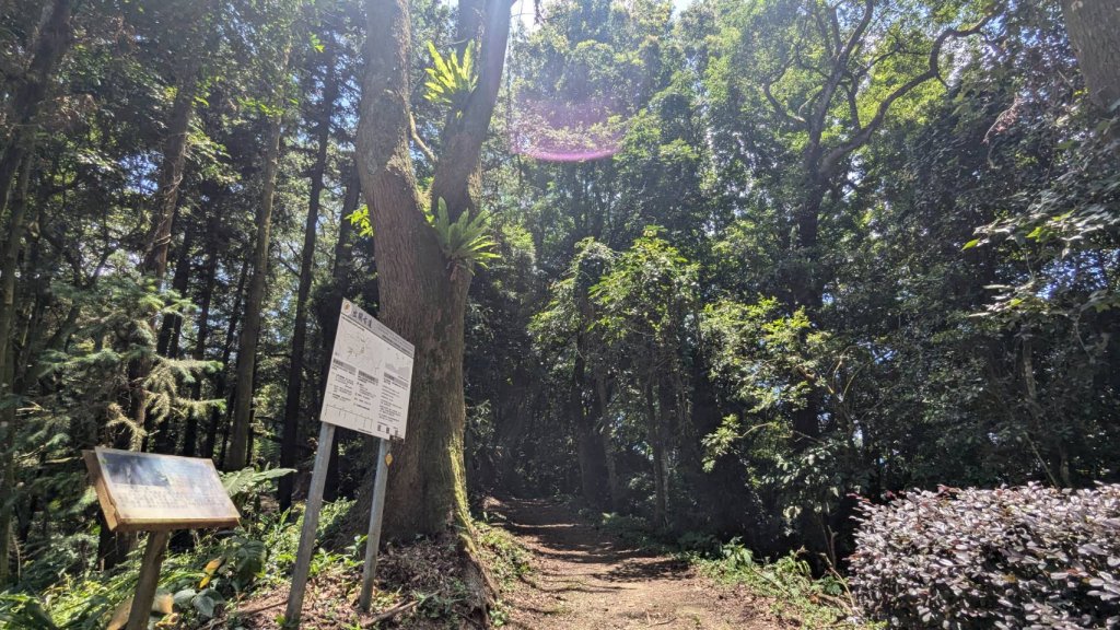 關刀山步道 (出關古道：聖關段)_2532828