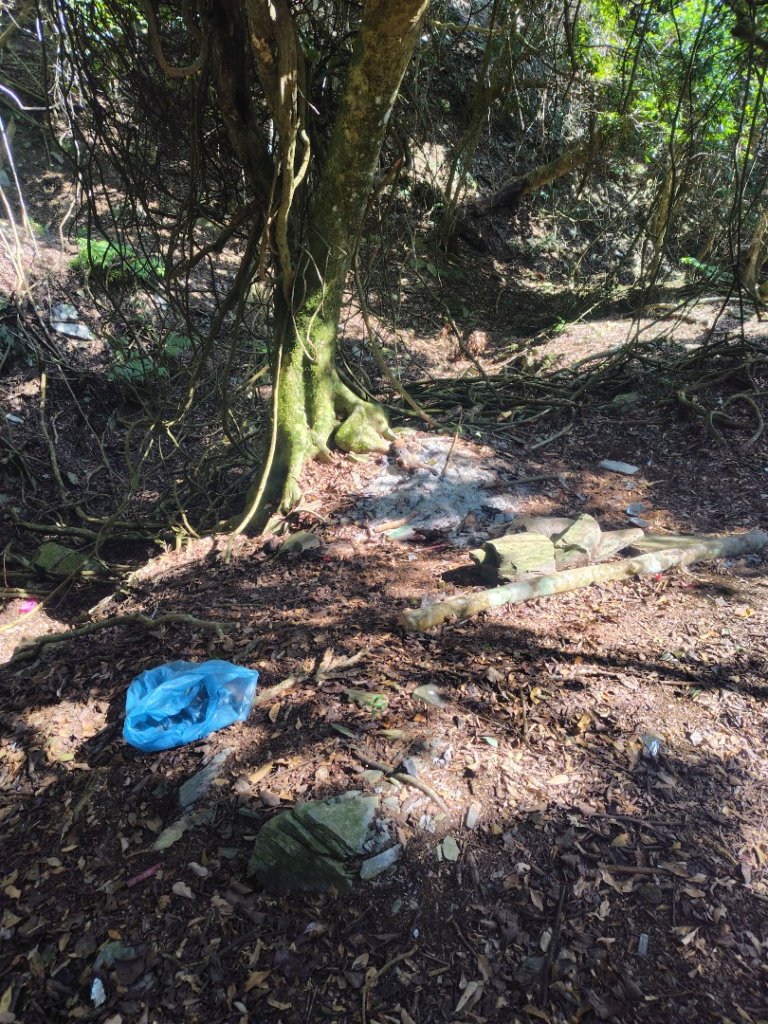 多納六秀 屯子山 安通吊橋_2987275