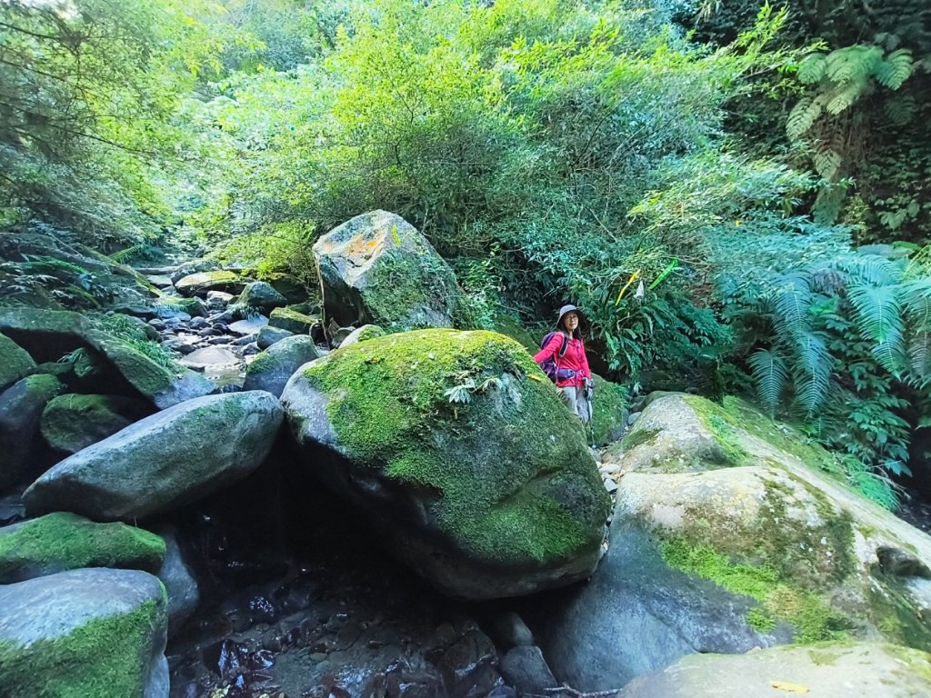 1121125 鳥嘴山縱走貴妃山_2363959