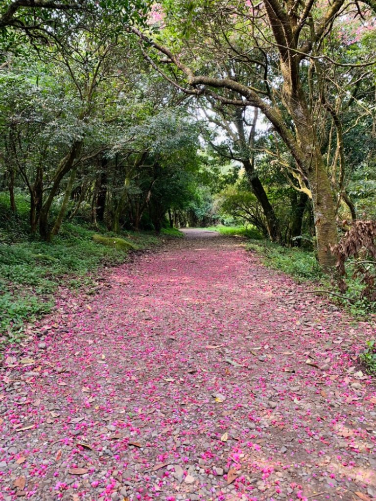 台北大縱走第二段封面圖