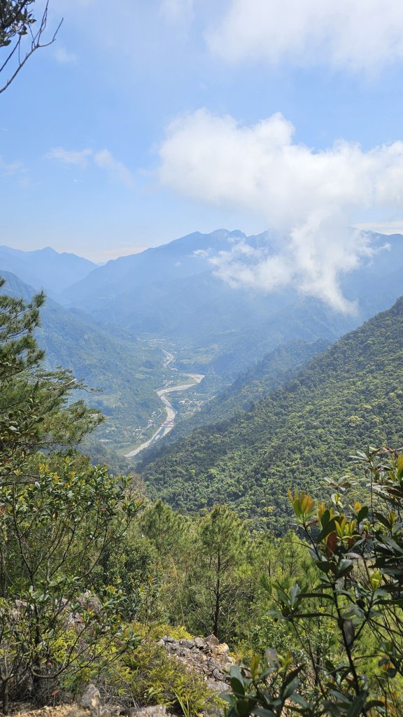 【美美兔走山趣】谷關抓雄-老六白毛_2749956